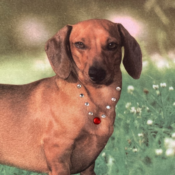 DACHSHUND Shoulder Bag Hand Bag Rhinestone Bling NEW 10 x 8 inches - Picture 10 of 14